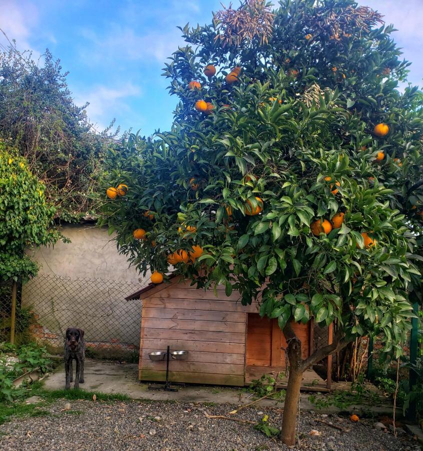 Эко-Комплекс Ахаца Sochumi Exterior foto